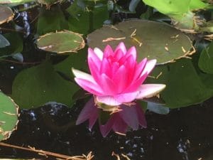 emotionally healthy spirituality